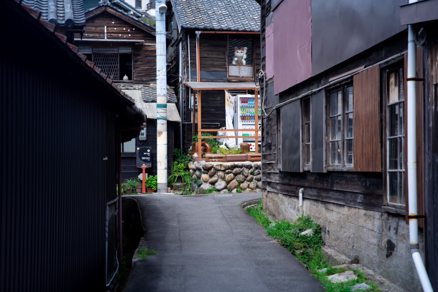 愛知県、2019年春、日本。撮影：Jordy Meow（4/11）