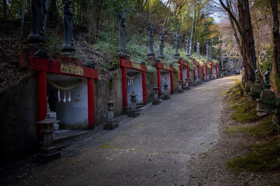 愛知県、2019年春、日本。撮影：Jordy Meow（6/11）
