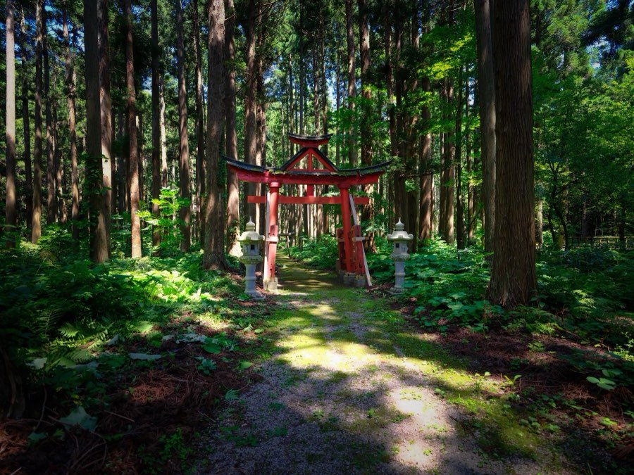 青森県、2021年夏、日本。撮影：Jordy Meow（3/15）