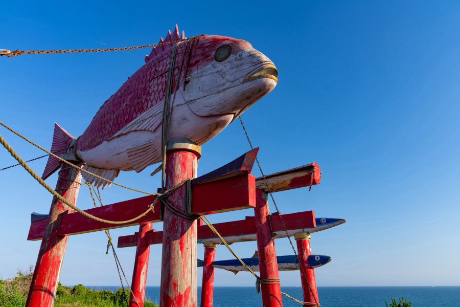 千葉県、2024年夏、日本。撮影：Jordy Meow（1/13）