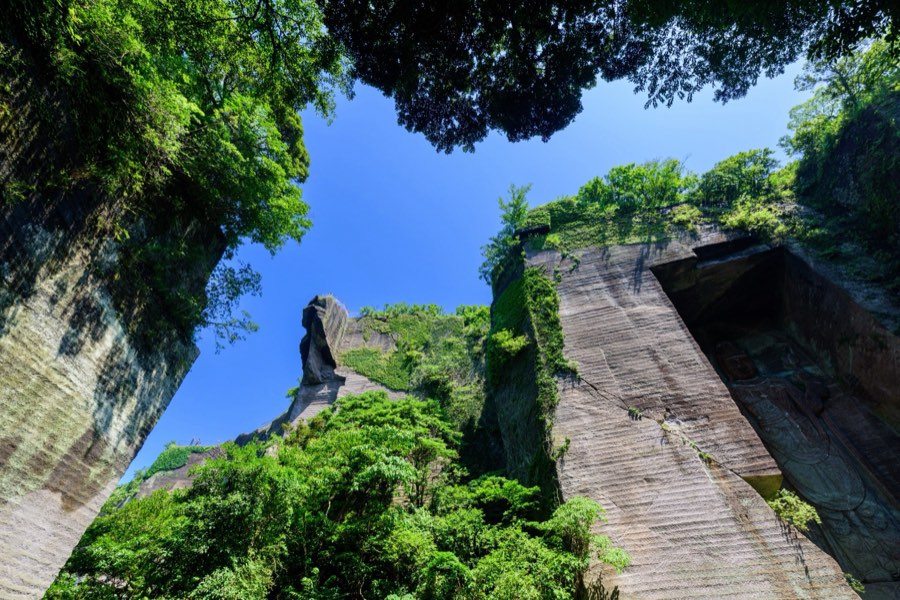 千葉県、2015年夏、日本。撮影：Jordy Meow（12/13）