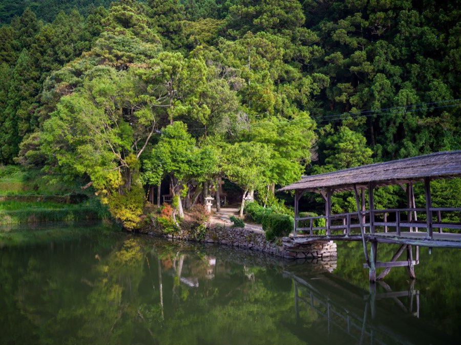 愛媛県、2020年夏、日本。撮影：Jordy Meow（172/229）