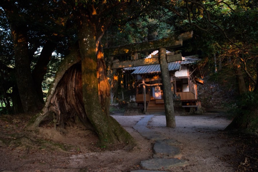 愛媛県、2016年夏、日本。撮影：Jordy Meow（173/229）