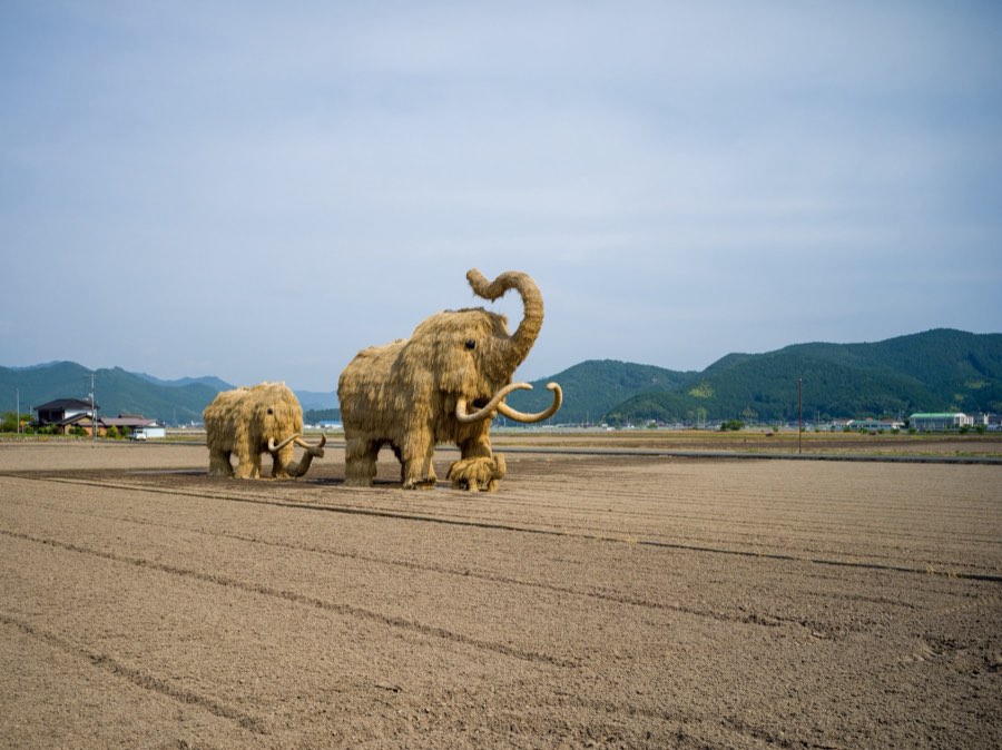 愛媛県、2020年夏、日本。撮影：Jordy Meow（177/229）