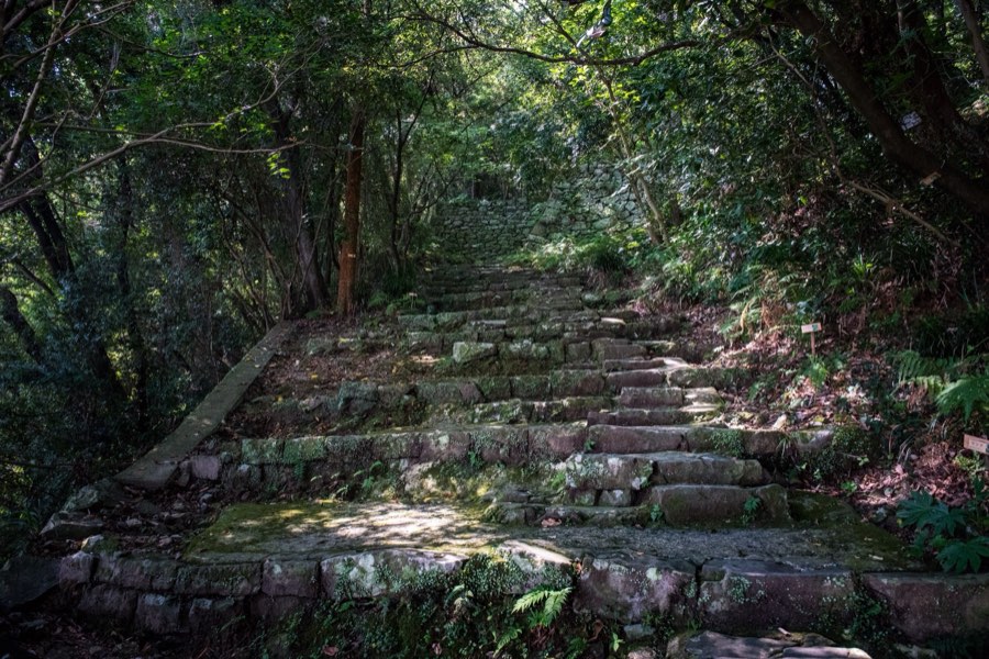 愛媛県、2016年夏、日本。撮影：Jordy Meow（184/229）