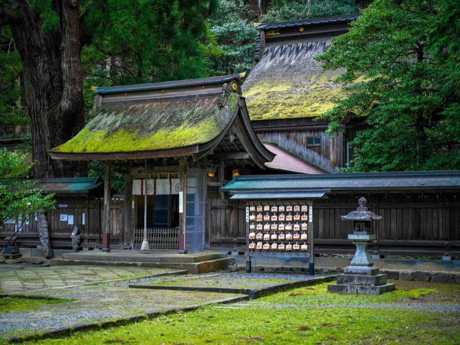 福井県、2020年春、日本。撮影：Jordy Meow（117/289）