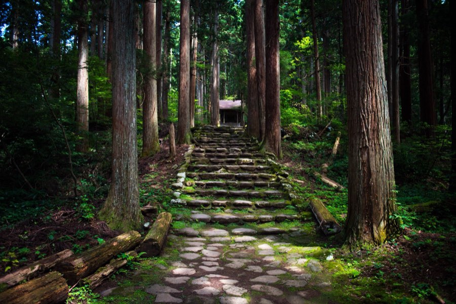 福井県、2016年夏、日本。撮影：Jordy Meow（93/229）
