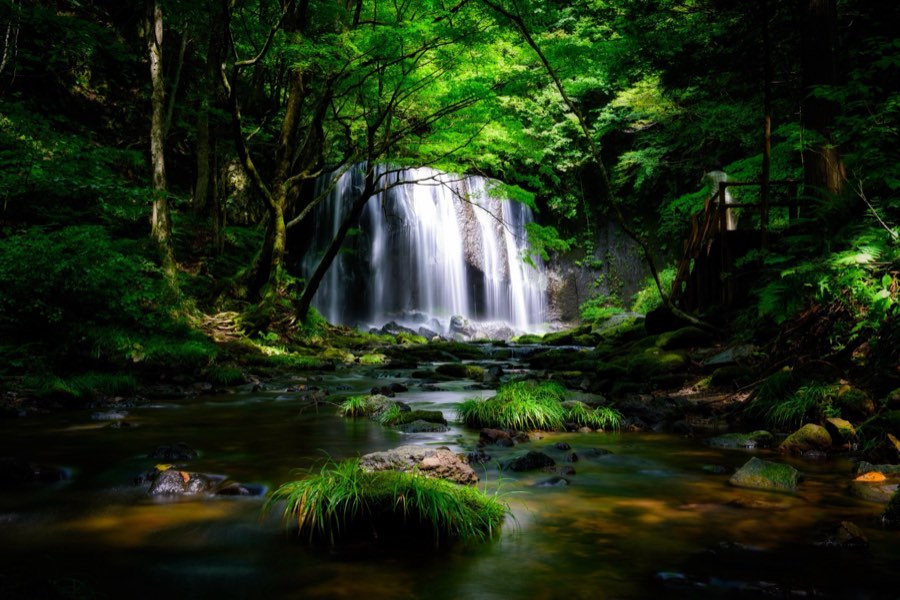福島県、2014年夏、日本。撮影：Jordy Meow（52/229）