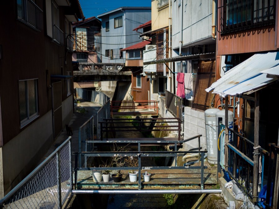 岐阜県、2020年春、日本。撮影：Jordy Meow（131/289）