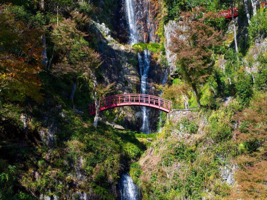 岐阜県、2019年秋、日本。撮影：Jordy Meow（6/25）