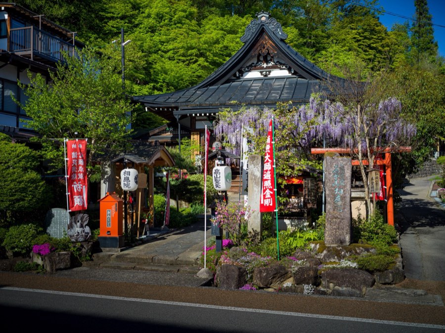 岐阜県、2020年春、日本。撮影：Jordy Meow（136/289）