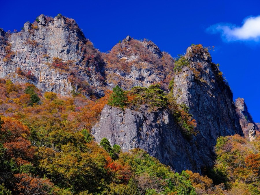 群馬県、2021年秋、日本。撮影：Jordy Meow（16/27）