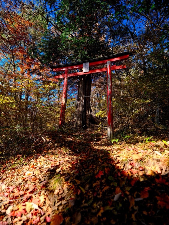 群馬県、2021年秋、日本。撮影：Jordy Meow（17/27）