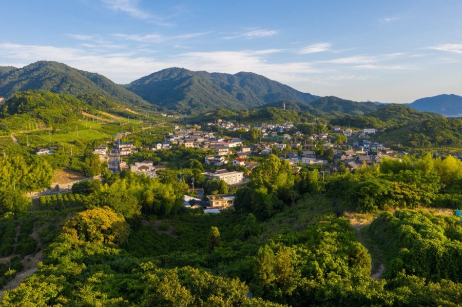 広島県、2020年夏、日本。撮影：Jordy Meow（12/22）
