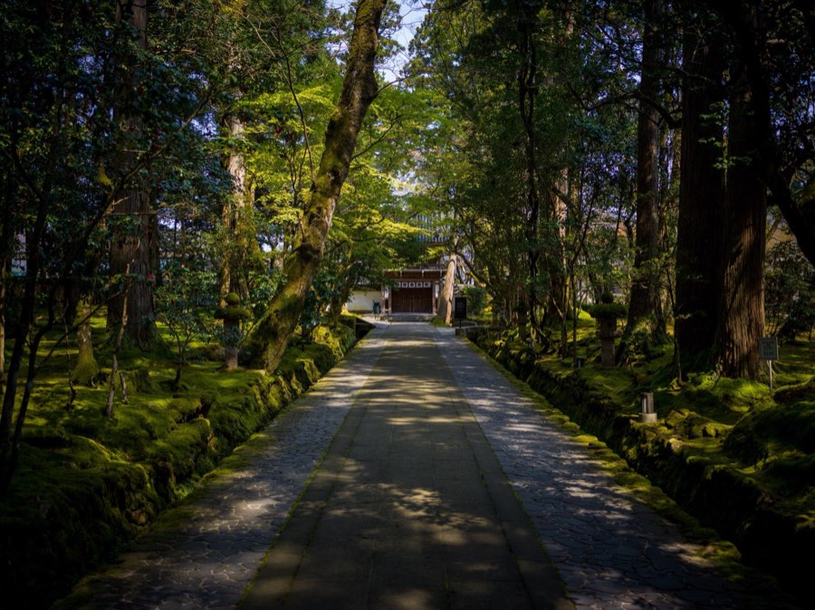 石川県、2020年春、日本。撮影：Jordy Meow（103/289）