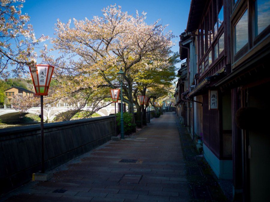 石川県、2020年春、日本。撮影：Jordy Meow（104/289）