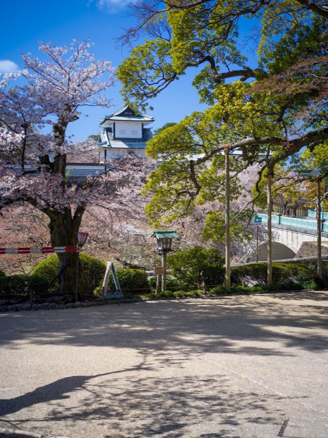 石川県、2020年春、日本。撮影：Jordy Meow（106/289）