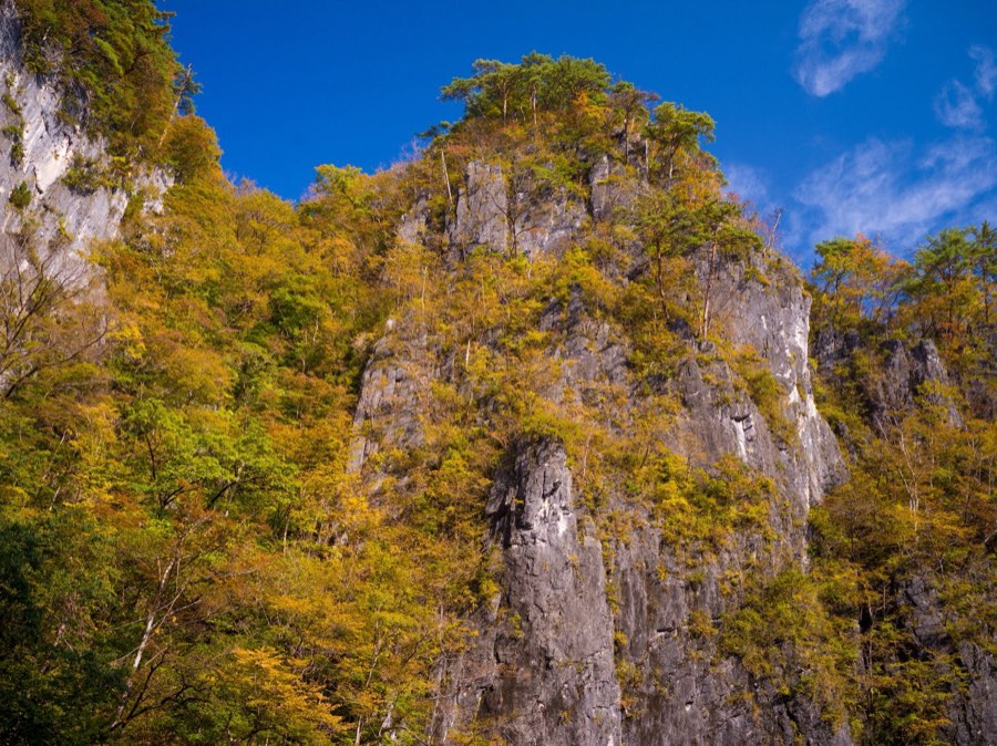 岩手県、2020年秋、日本。撮影：Jordy Meow（4/7）