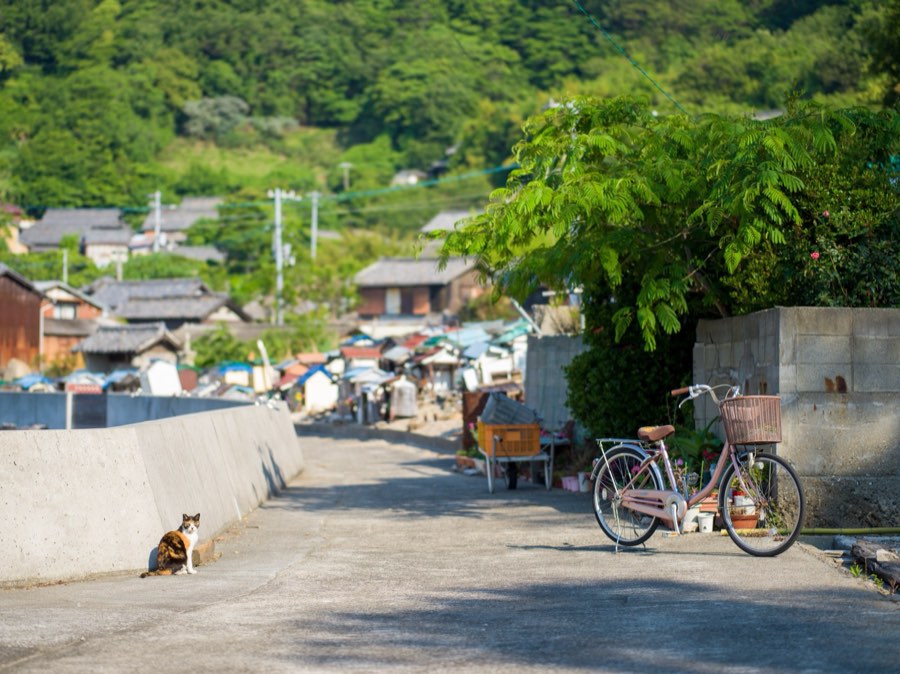香川県、2020年春、日本。撮影：Jordy Meow（226/289）