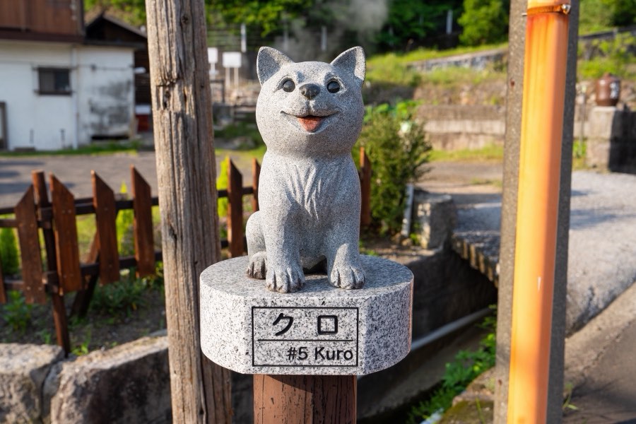 鹿児島県、2025年夏、日本。撮影：Jordy Meow（5/18）