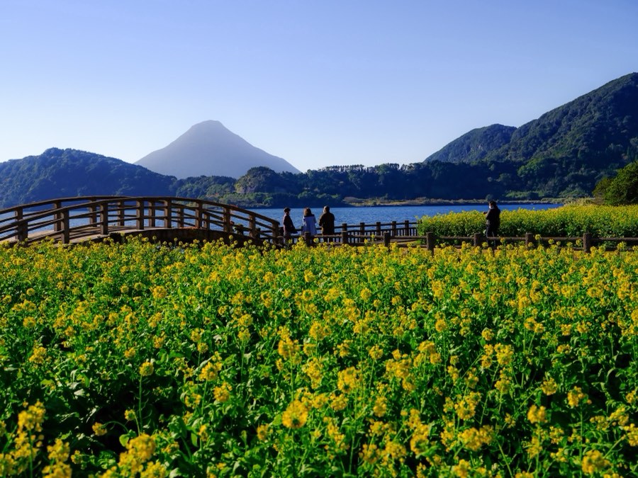 鹿児島県、2022年冬、日本。撮影：Jordy Meow（10/18）