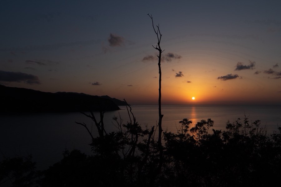 鹿児島県、2018年春、日本。撮影：Jordy Meow（281/289）