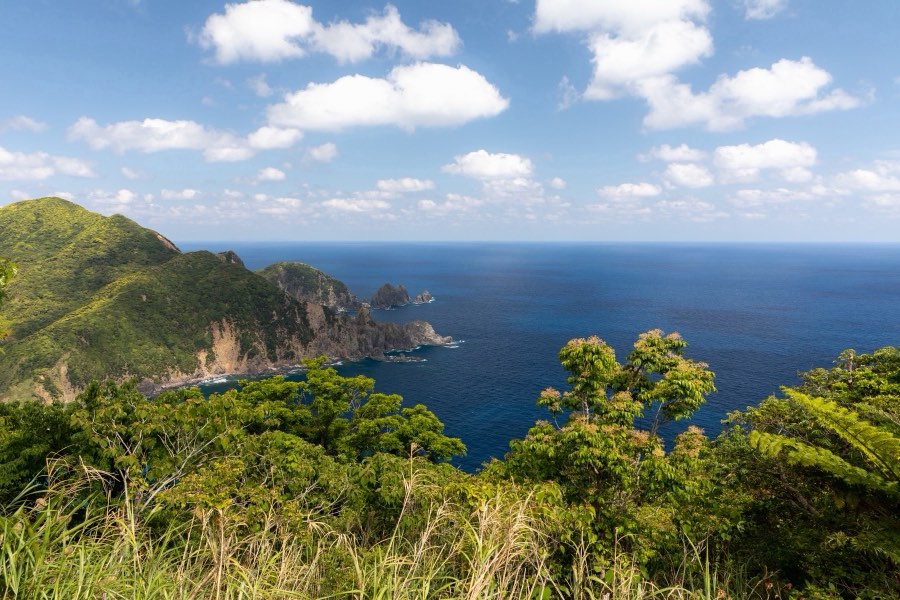 鹿児島県、2018年春、日本。撮影：Jordy Meow（285/289）