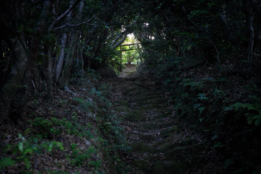 鹿児島県、2018年春、日本。撮影：Jordy Meow（286/289）