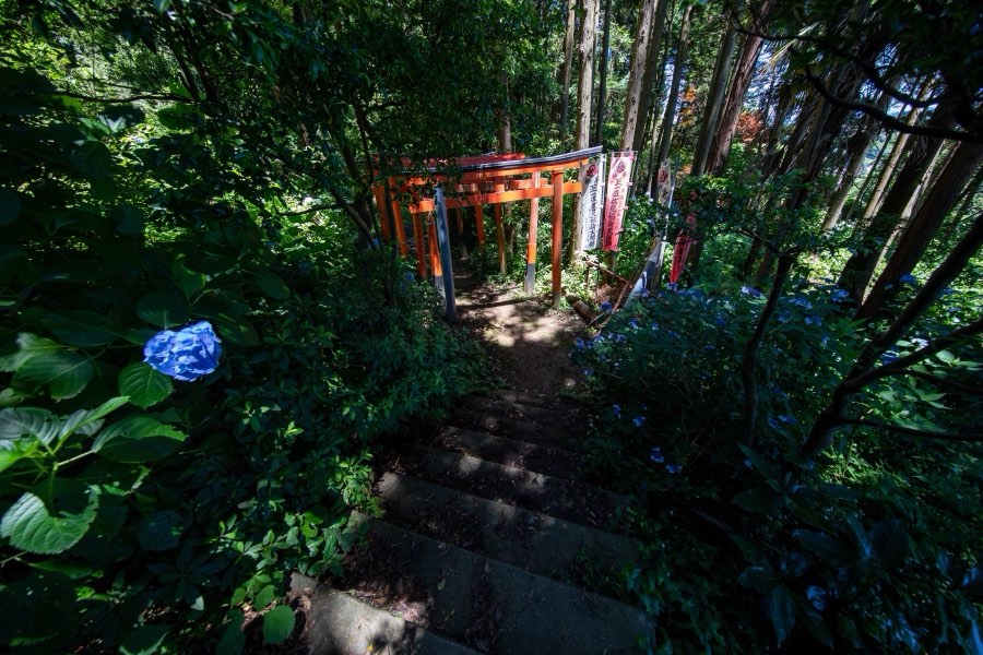 神奈川県、2019年夏、日本。撮影：Jordy Meow（73/229）