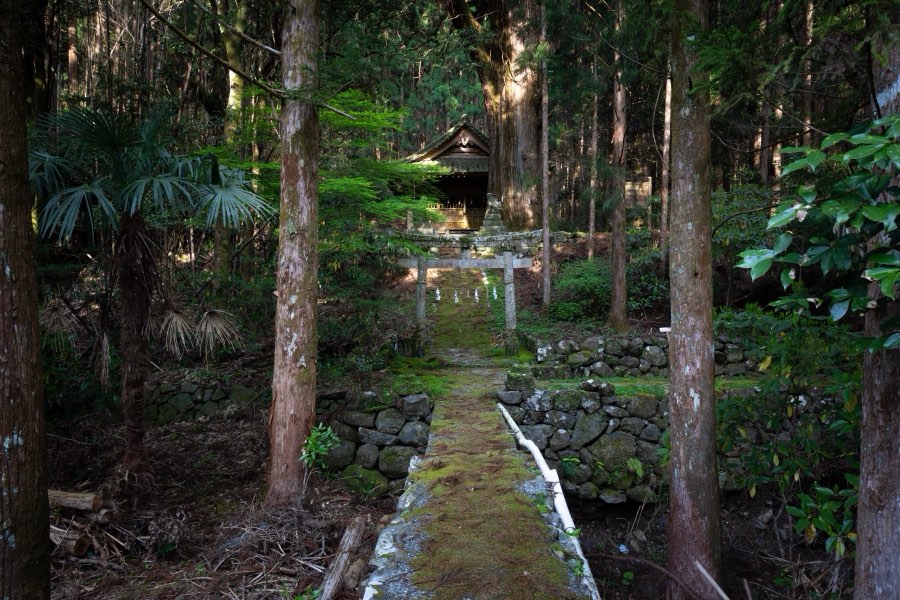 高知県、2019年春、日本。撮影：Jordy Meow（235/289）