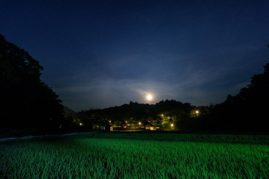 熊本県、2015年夏、日本。撮影：Jordy Meow（23/32）