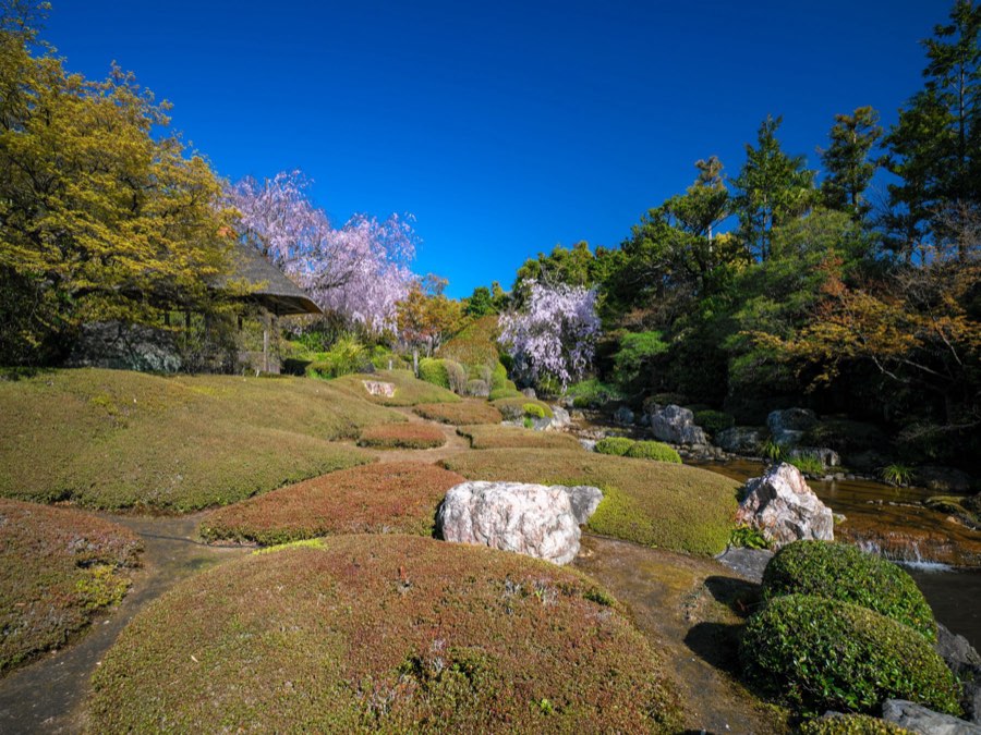 京都府、2020年春、日本。撮影：Jordy Meow（170/289）