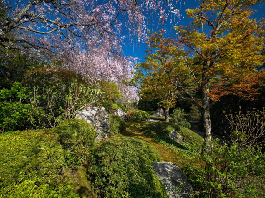 京都府、2020年春、日本。撮影：Jordy Meow（171/289）