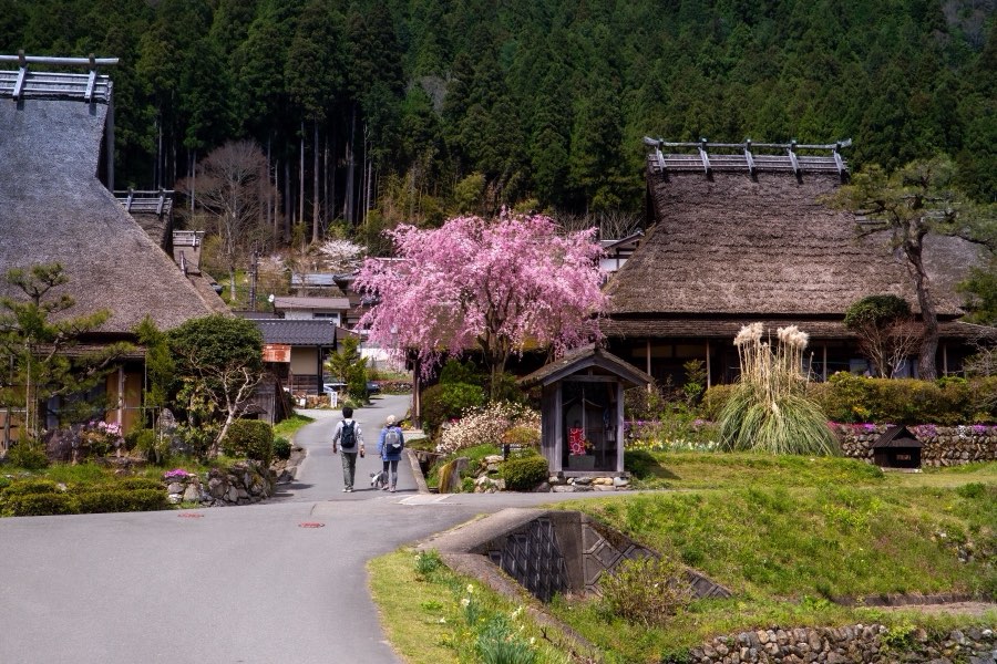 京都府、2019年春、日本。撮影：Jordy Meow（176/289）