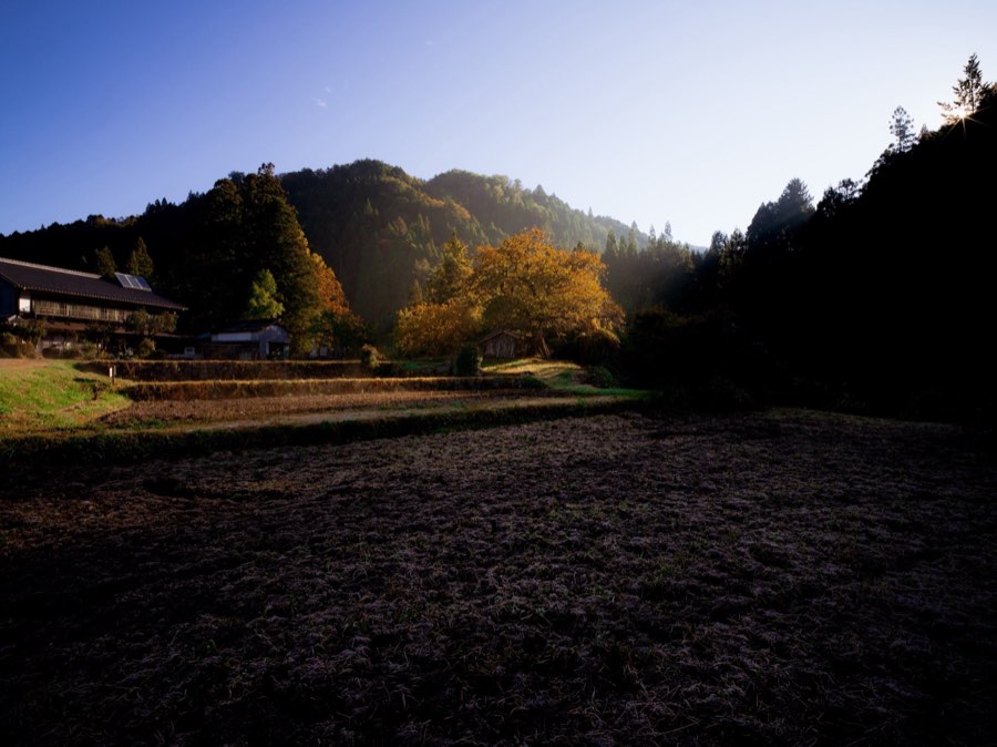 長野県、2019年秋、日本。撮影：Jordy Meow（6/33）