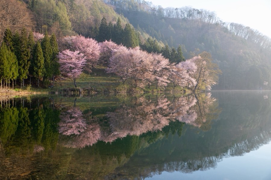 長野県、2019年春、日本。撮影：Jordy Meow（123/289）