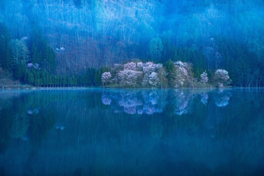 長野県、2019年春、日本。撮影：Jordy Meow（124/289）