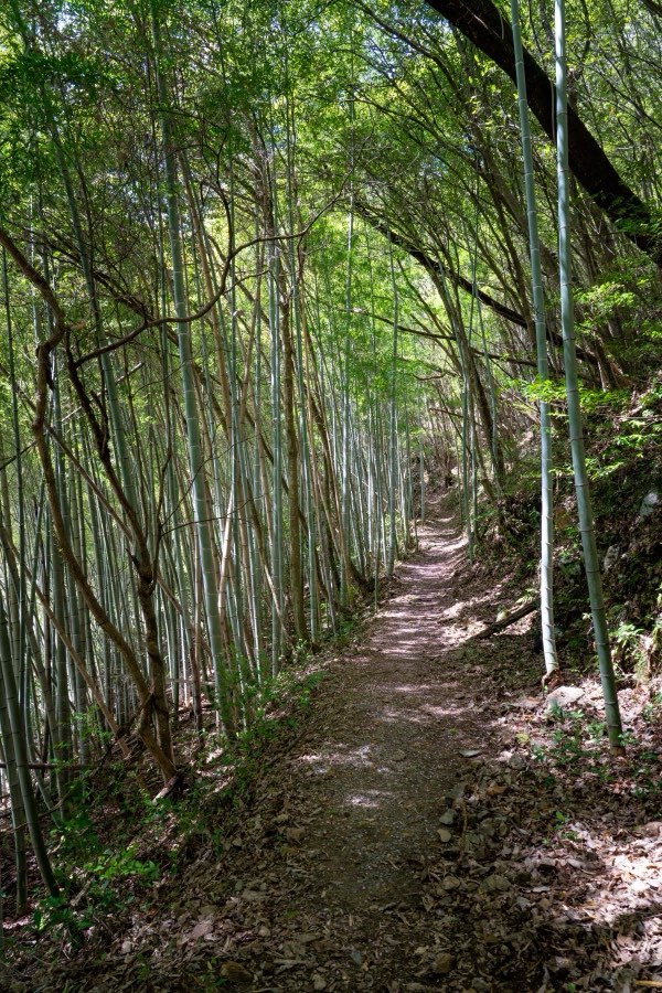 長野県、2026年春、日本。撮影：Jordy Meow（128/289）