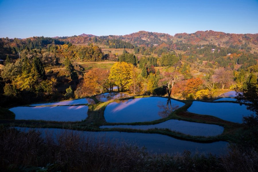 新潟県、2017年秋、日本。撮影：Jordy Meow（3/25）
