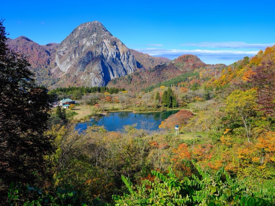 新潟県、2022年秋、日本。撮影：Jordy Meow（15/25）