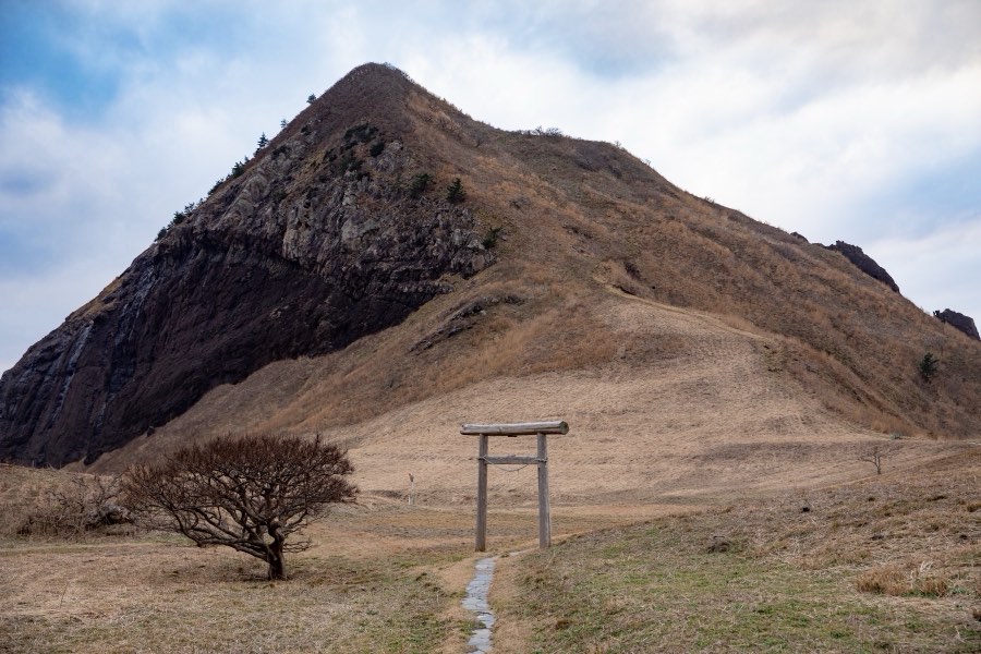 新潟県、2019年冬、日本。撮影：Jordy Meow（19/25）