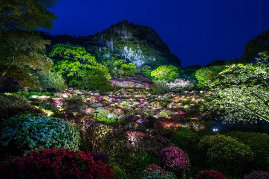 佐賀県、2016年春、日本。撮影：Jordy Meow（241/289）