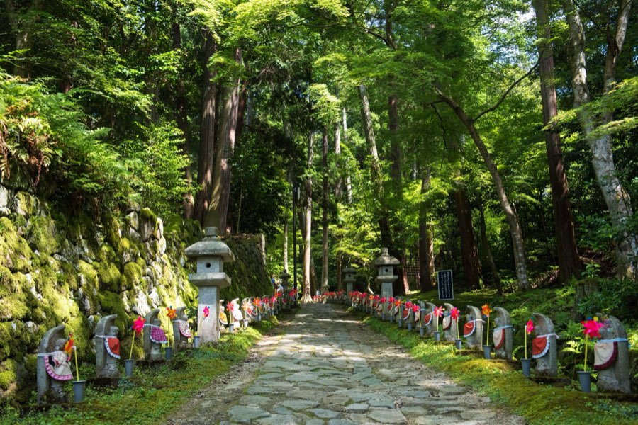 滋賀県、2016年夏、日本。撮影：Jordy Meow（11/11）