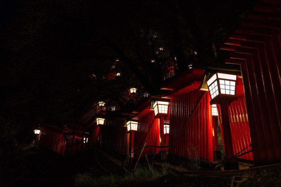 島根県、2024年春、日本。撮影：Jordy Meow（194/289）