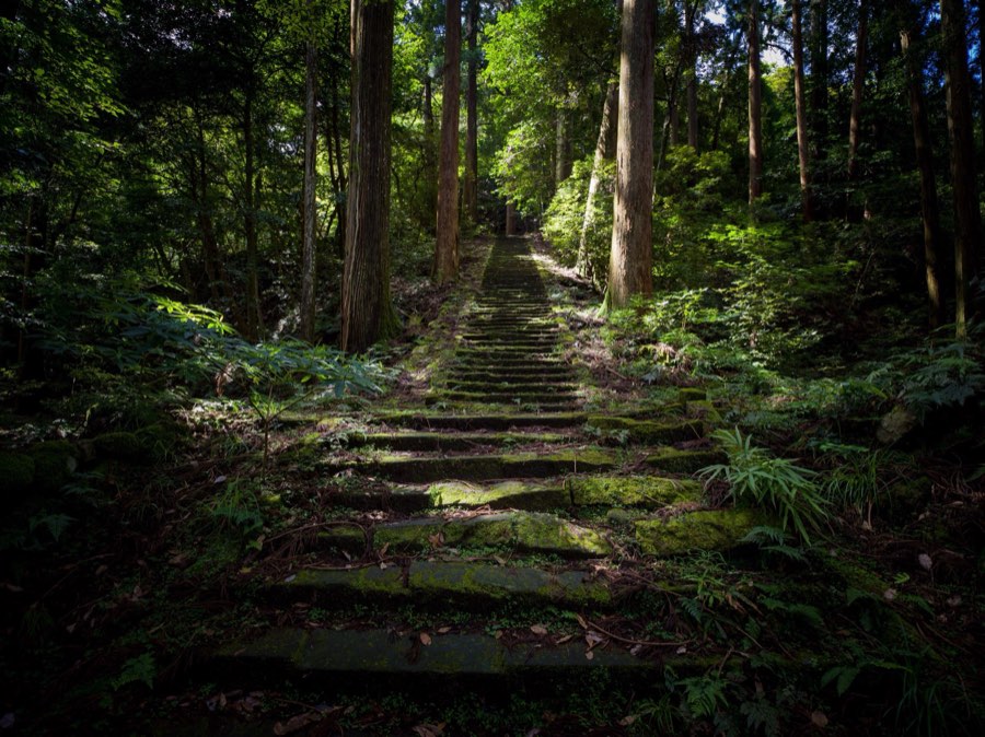 島根県、2020年夏、日本。撮影：Jordy Meow（5/15）