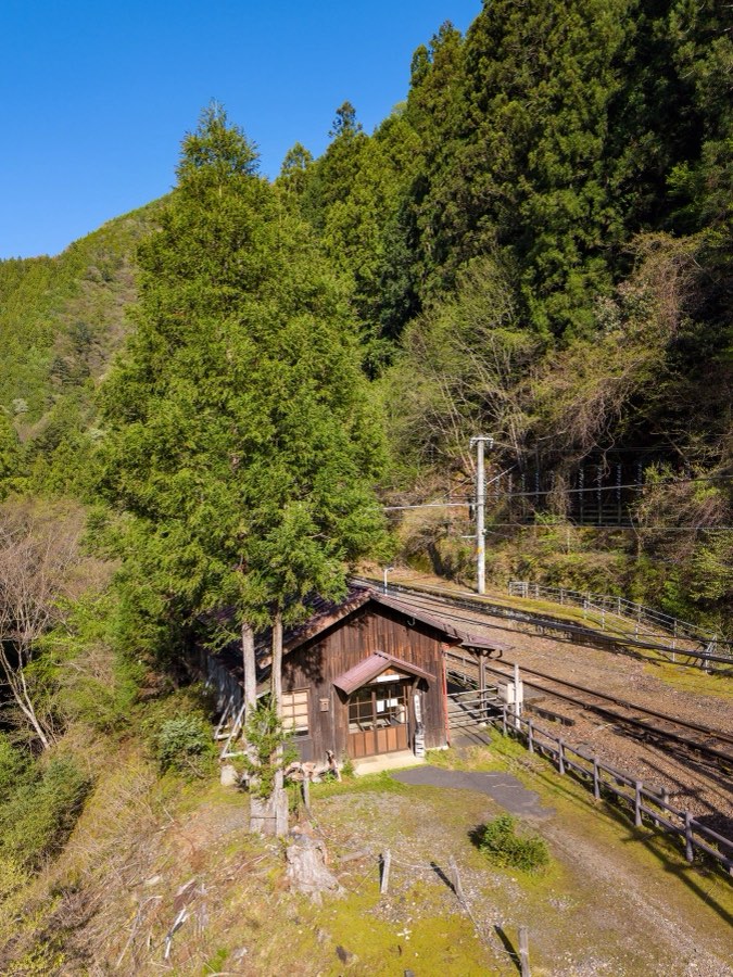 静岡県、2026年春、日本。撮影：Jordy Meow（149/289）