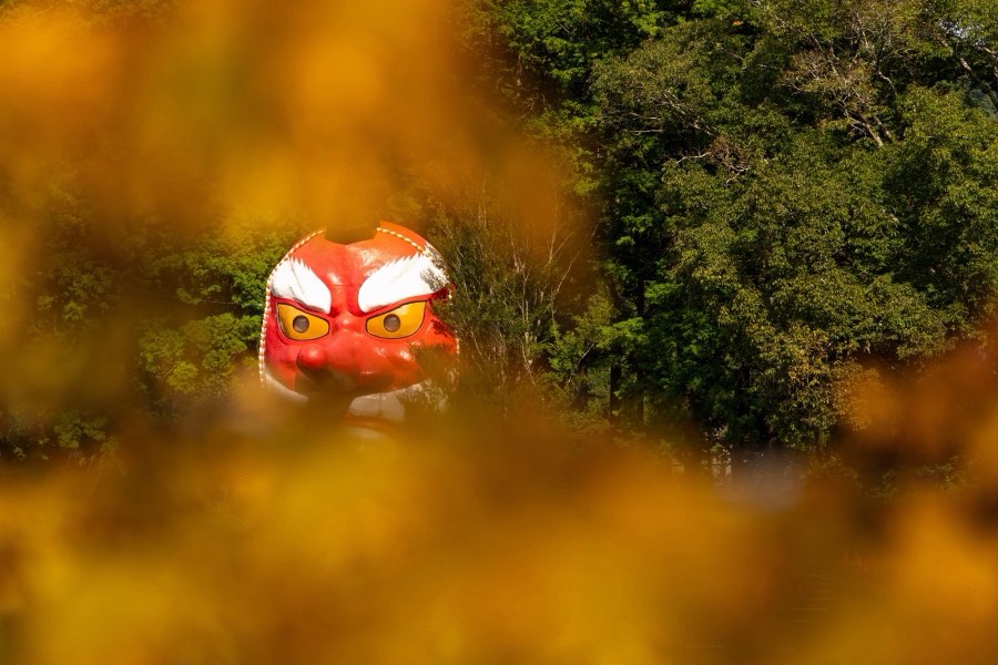 静岡県、2025年秋、日本。撮影：Jordy Meow（13/25）
