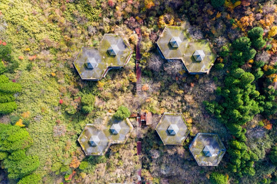 静岡県、2020年秋、日本。撮影：Jordy Meow（15/25）