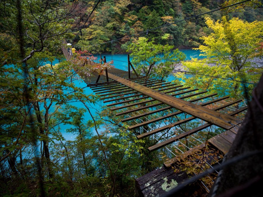静岡県、2019年秋、日本。撮影：Jordy Meow（17/25）