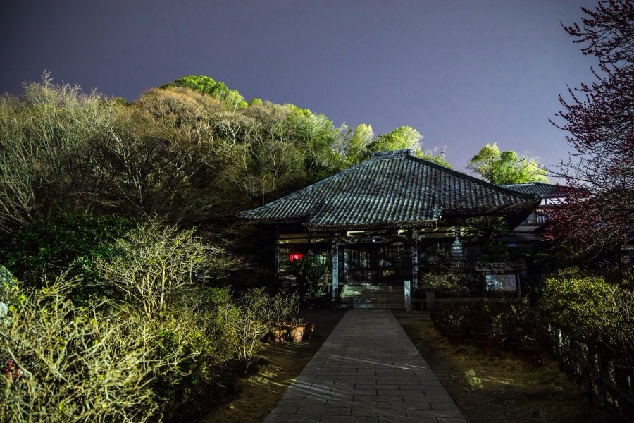 静岡県、2018年春、日本。撮影：Jordy Meow（156/289）